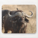 Zoek naar afrika muismatten Elk persoon