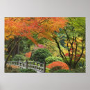 Zoek naar esdoorn posters Herfst