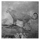 Zoek naar muur tegels Muren