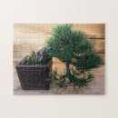 Zoek naar bonsai puzzels Natuur