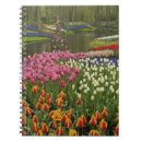 Zoek naar holland notitieboeken Kleurrijk