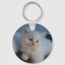 Zoek naar persian sleutelhangers Schattig
