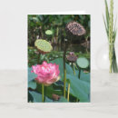Zoek naar pod kaarten Roze