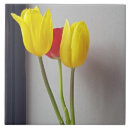 Zoek naar tulpen tegels Rood