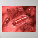 Zoek naar micro organisme posters Bacteriën