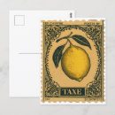 Zoek naar vruchten briefkaarten Zomer