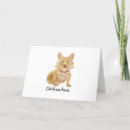 Zoek naar langharige chihuahua kaarten Voor iedereen