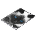 Zoek naar siamese cat notitieboeken Kat