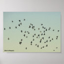 Zoek naar duiven posters Duif