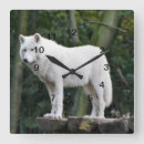Zoek naar white wolf kunst Wild