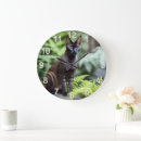 Zoek naar siamese cat klokken Kat