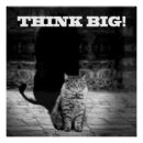 Zoek naar grappig kattenposter posters Humor