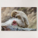 Zoek naar bont puzzels Natuur fotografie