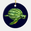 Zoek naar grappige schildpad ornamenten Schattig