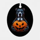 Zoek naar pitbull ornamenten Huisdier