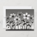 Zoek naar zwarte bloem briefkaarten Natuur