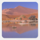 Zoek naar namibie stickers Woestijn