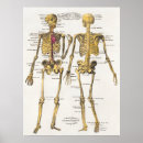 Zoek naar medical kunst Vintage