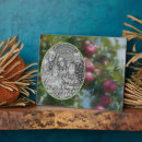 Zoek naar bomen fotoplaat Natuur