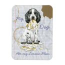 Zoek naar plane magneten Voor iedereen