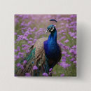 Zoek naar pauw buttons Blauw