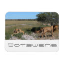 Zoek naar kalahari magneten Natuur