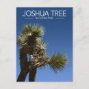 Zoek naar joshua briefkaarten Avontuur