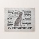 Zoek naar weimaraners puzzels Gezelschapsdier