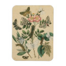 Zoek naar dier magneten Botanisch