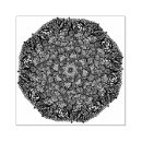 Zoek naar mediteren posters Floreel