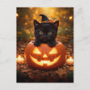 Zoek naar poes briefkaarten Halloween