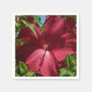Zoek naar hibiscus bloemen servetten Elk persoon