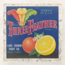 Zoek naar veer onderzetters Elk persoon