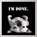 Zoek naar babydieren posters Schattige dieren