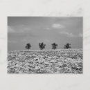 Zoek naar bw briefkaarten Fotografie