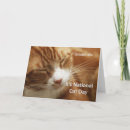 Zoek naar van kat kaarten Sinaasappel