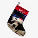 Zoek naar honden kerstsokken Foto