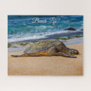 Zoek naar turtle puzzels Honu