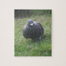 Zoek naar engelse tuin puzzels Tuinen