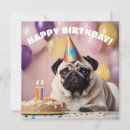 Zoek naar grappige pug kaarten Dieren