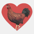 Zoek naar pikken stickers Kip