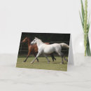 Zoek naar twee paarden kaarten Dier