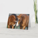 Zoek naar twee paarden kaarten Dier