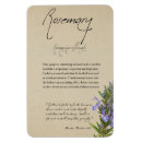 Zoek naar wicca magneten Knap