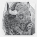 Zoek naar amerikaanse bizon stickers Buffel