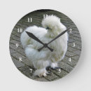 Zoek naar plumage kunst Kip