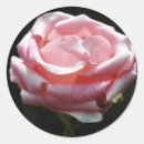 Zoek naar nam toe stickers Bloemen