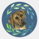 Zoek naar ridgebacks stickers Hond