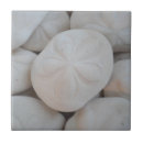 Zoek naar sand dollar tegels Strand