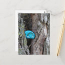 Zoek naar hark briefkaarten Blauw